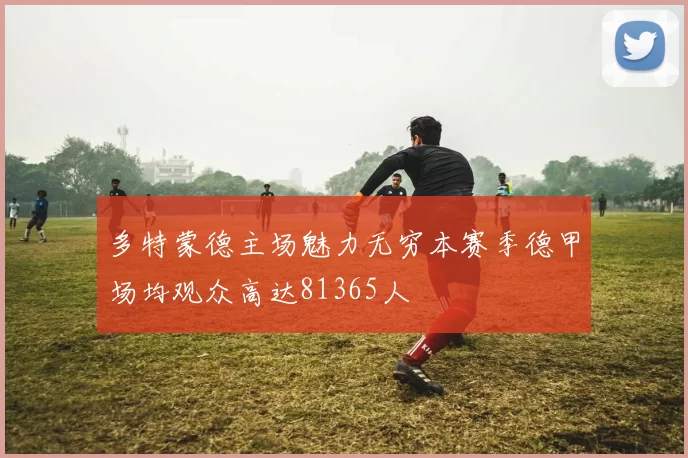 多特蒙德主场魅力无穷本赛季德甲场均观众高达81365人