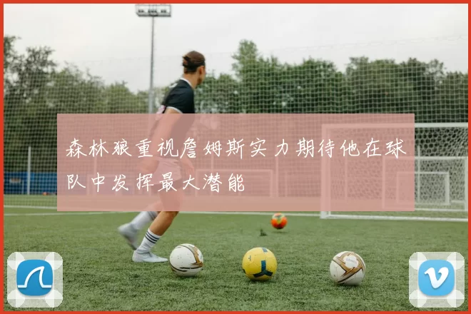 森林狼重视詹姆斯实力期待他在球队中发挥最大潜能